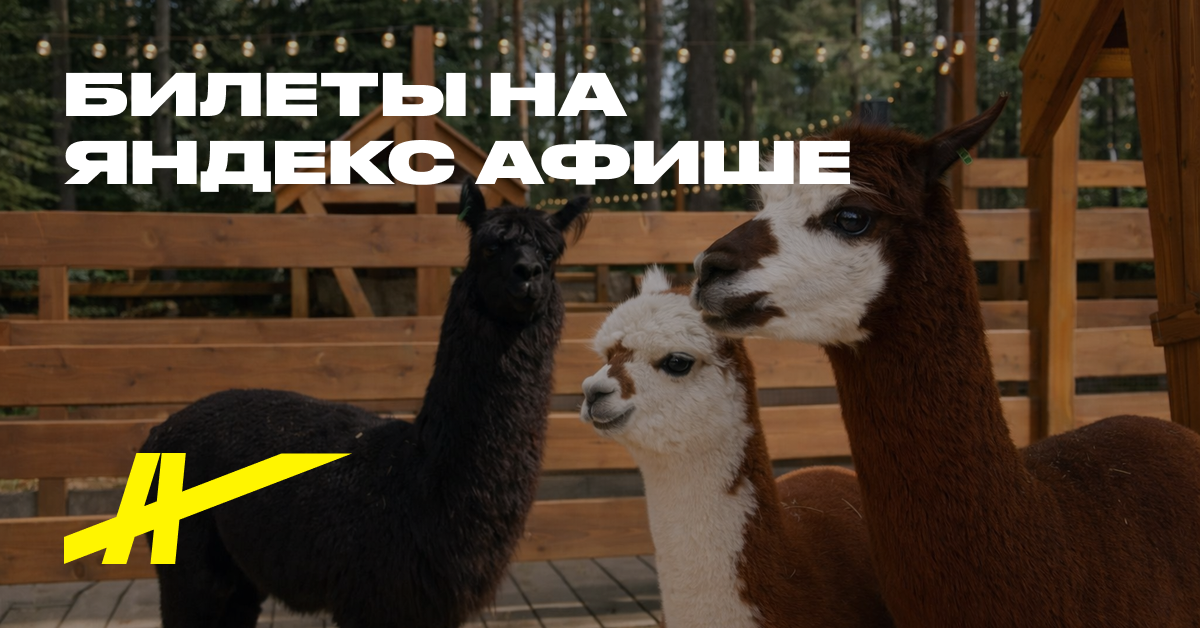 Погладь, угости и сделай фото с милыми животными!