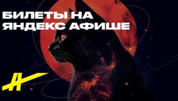 Кошачья вселенная