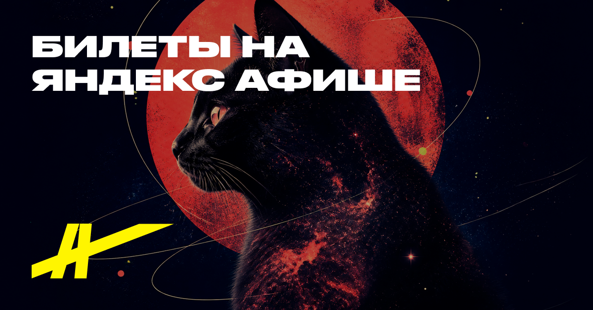 Кошачья вселенная