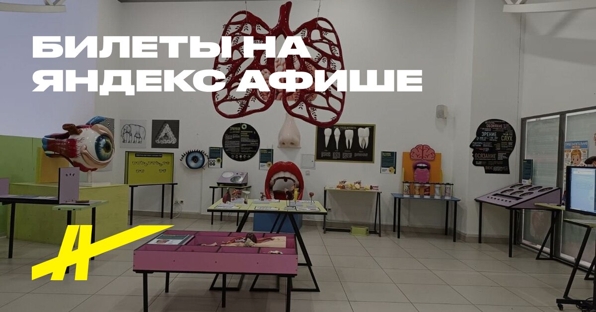 Анатомикум