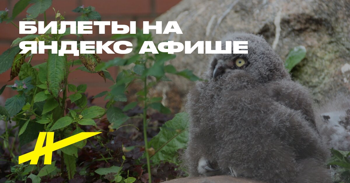 Центр восстановления и адаптации птиц