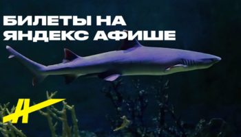 Экспозиция Крокус Сити Океанариум