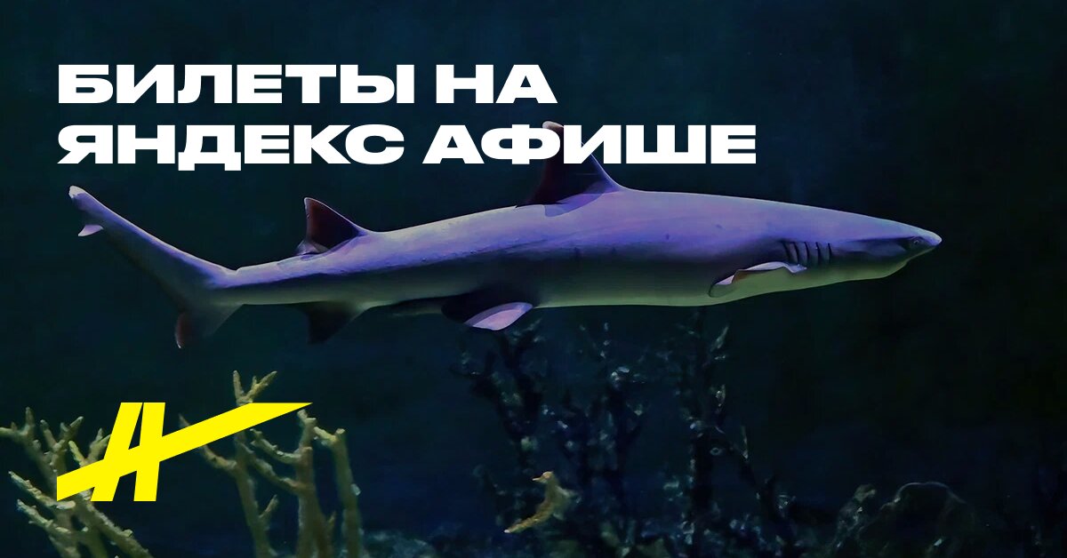 Экспозиция Крокус Сити Океанариум