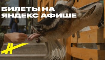 Городская ферма