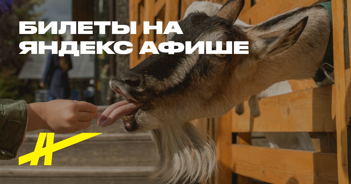Городская ферма