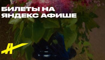 Цветы. Символ красоты