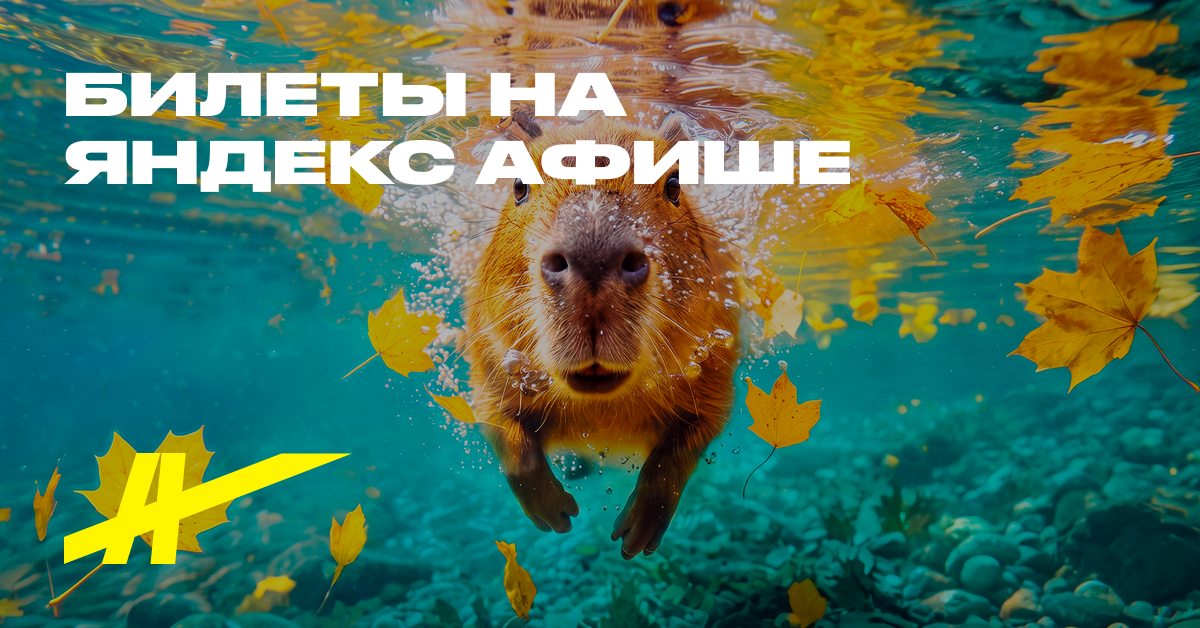 Аквариум